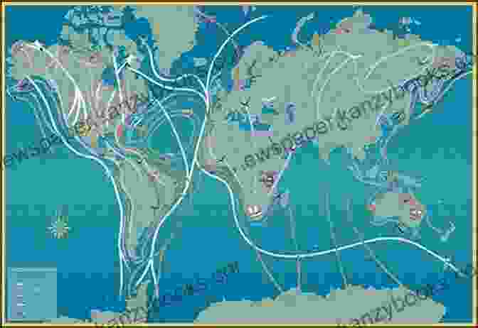 A Detailed Map Showing The Migration Patterns Of Various Bird Species The Encyclopedia Of Birds: How To Care And Raise Birds