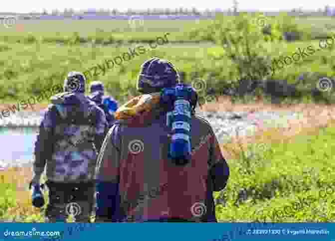 A Group Of Scientists Monitoring A Bird Nesting Site In A Protected Area The Encyclopedia Of Birds: How To Care And Raise Birds