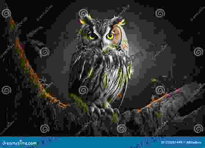 A Large Owl With Glowing Eyes Perched On A Tree Branch In A Dark Forest The Encyclopedia Of Birds: How To Care And Raise Birds