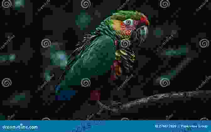 A Vibrant Scarlet Macaw Perched On A Branch The Encyclopedia Of Birds: How To Care And Raise Birds