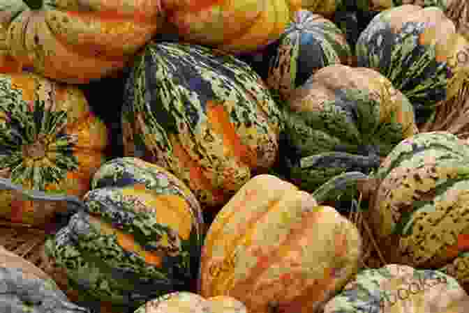 A Vibrant Winter Acorn Squash With Its Deep Green Rind And Bright Orange Flesh. Winter Acorn Squash Cookbook Laura Sommers