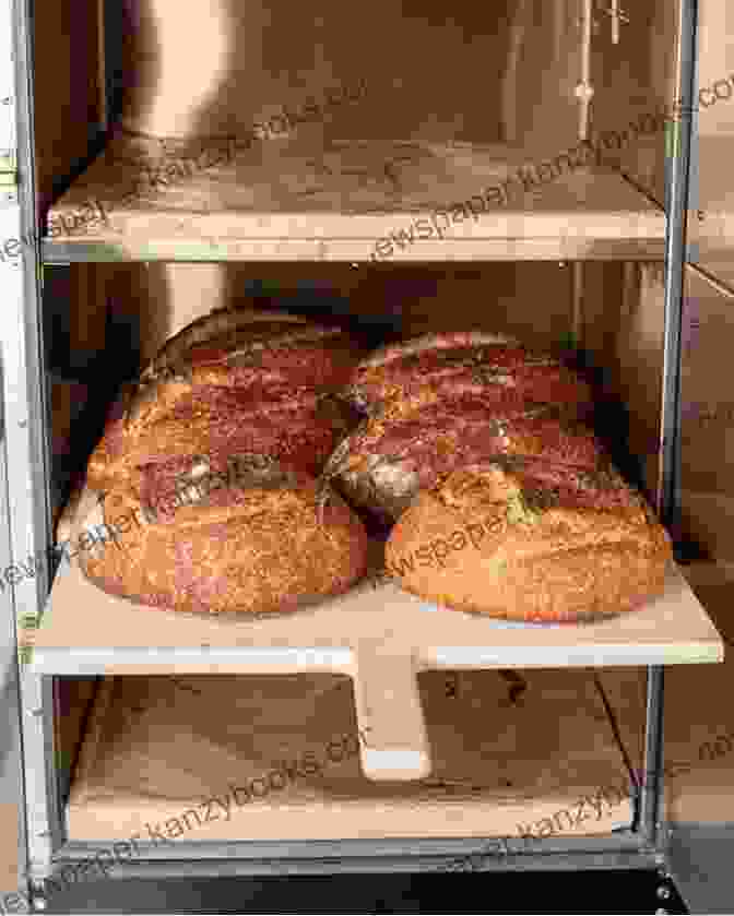 Loaves Of Bread Baking In An Oven Breadmaking: Essential Guide For Beginners (Self Sufficiency)