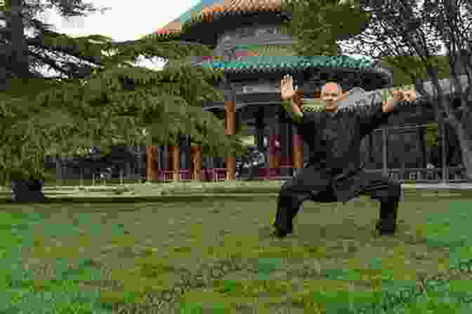 Torben Rif, Renowned Tai Chi And Qigong Master Tai Chi 18 Qigong Torben Rif