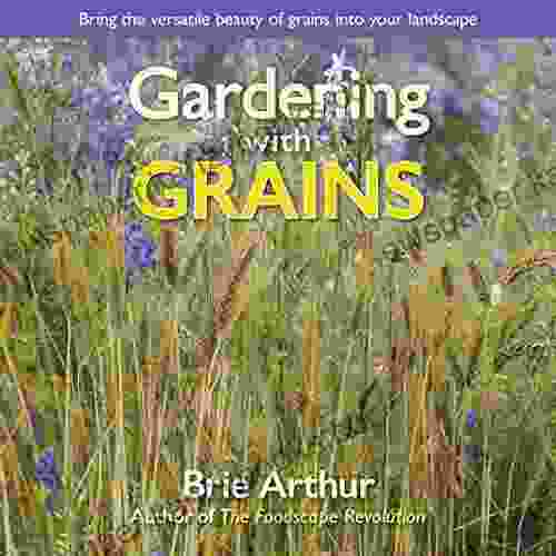 Gardening With Grains: Bring The Versatile Beauty Of Grains To Your Edible Landscape