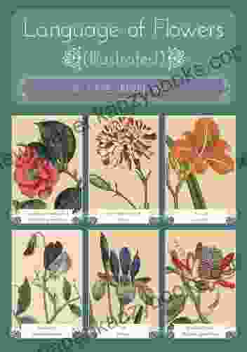 Language Of Flowers (illustrated) Kate Greenaway