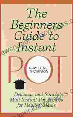 The Beginners Guide To Instant Pot: Delicious And Simple Mini Instant Pot Recipes For Healthy Meals