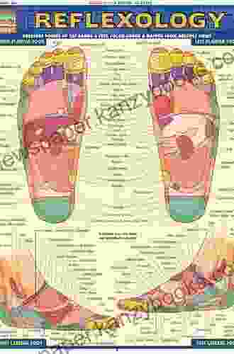 Reflexology Point Functions (Quick Study Academic)